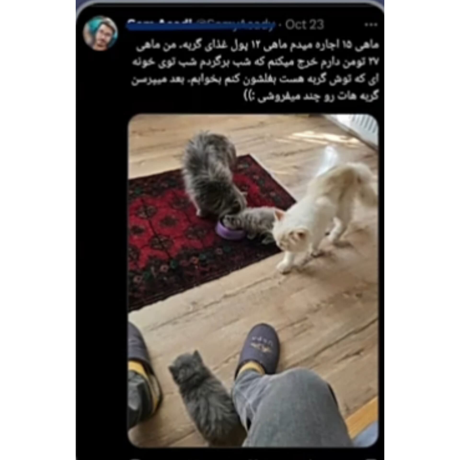 ما داریم اینجا زحمت می‌کشیم...