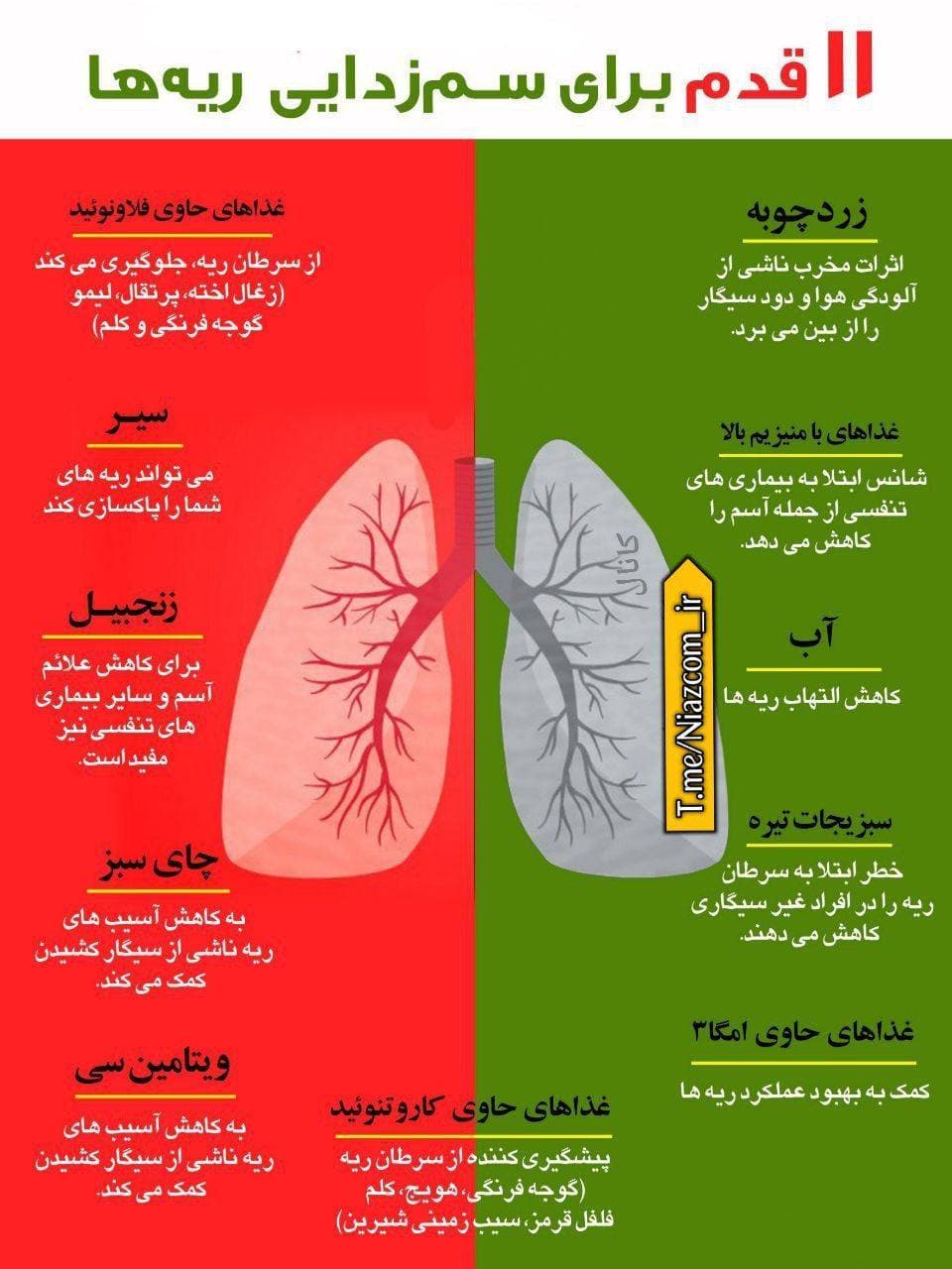 11راه حل برای سم زدایی ریه