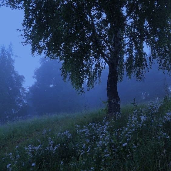 آهنگ بیکلام غم انگیز Broken village 
