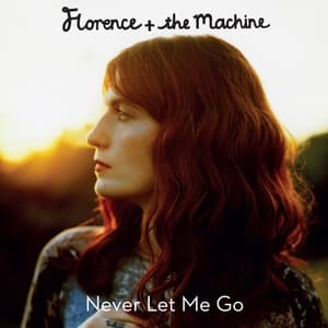 دانلود آهنگ Never Let Me Go از Florence + The Machine