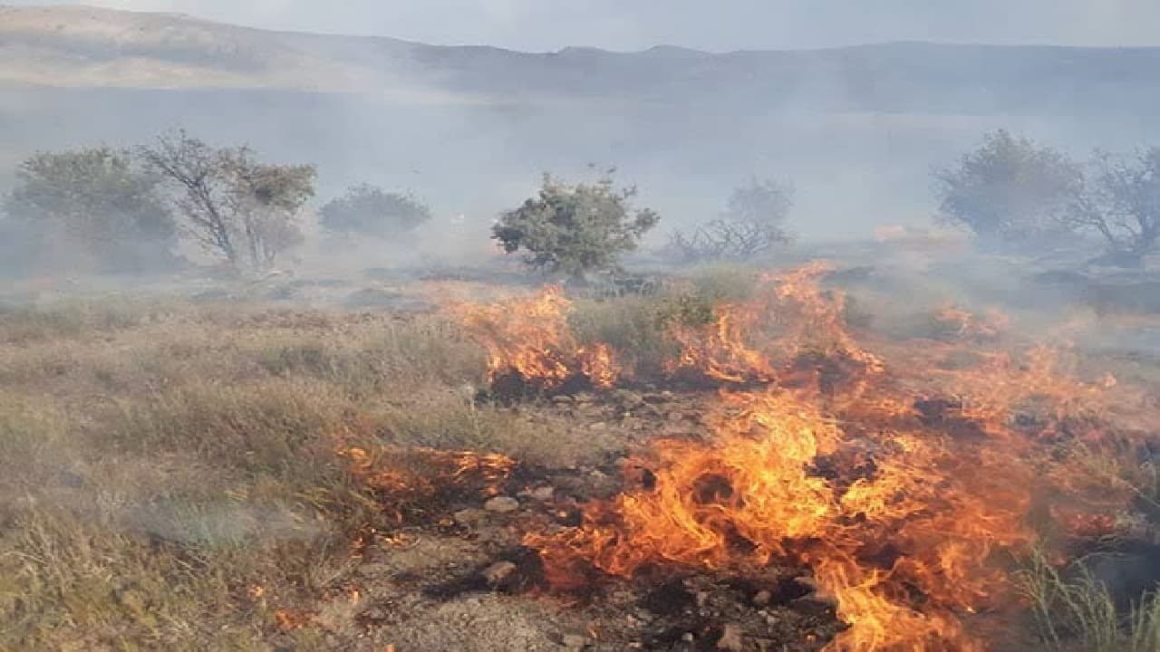 آتش‌سوزی گسترده مراتع کوه مهاب در استان لرستان