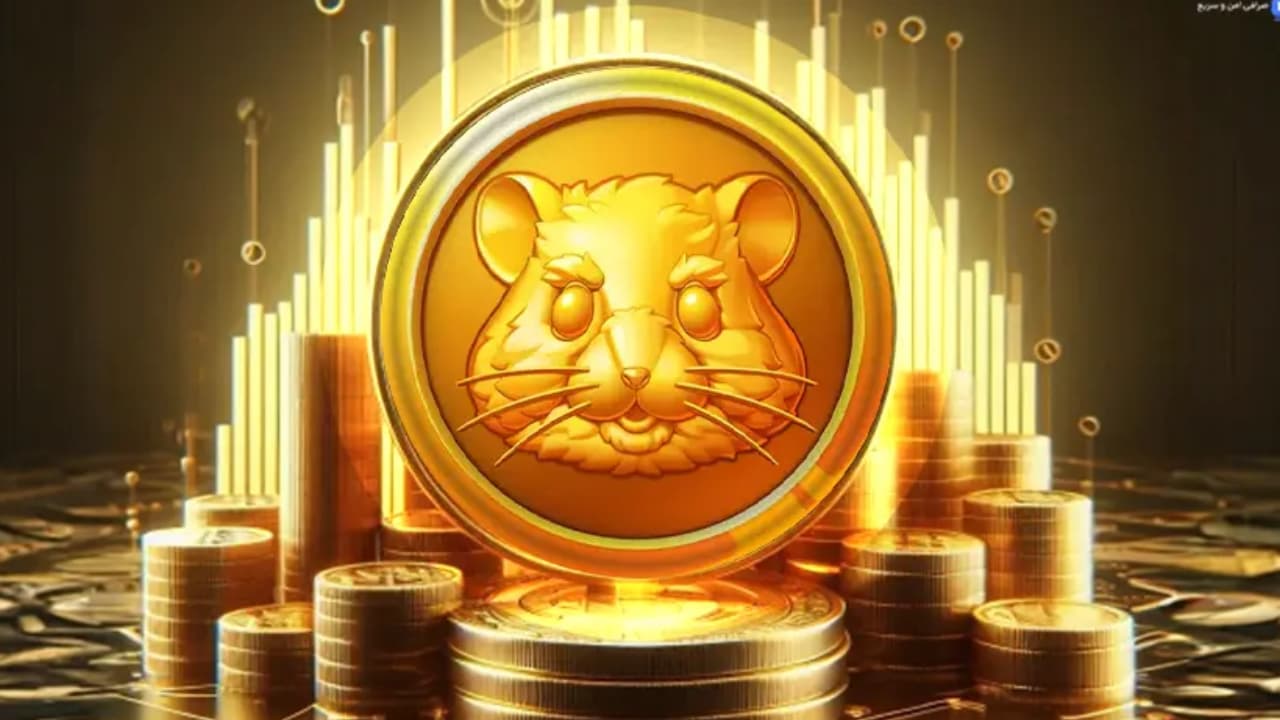 آموزش پیدا کردن دارایی ها در همستر / از کجا بدانیم چند توکن همستر داریم؟