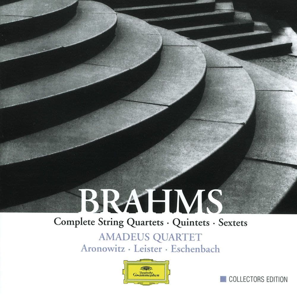 موسیقی کلاسیک: برامس - کوئینتت برای کلارینت و ارکستر زهی - Brahms: Clarinet Quintet In B Minor, Op. 115