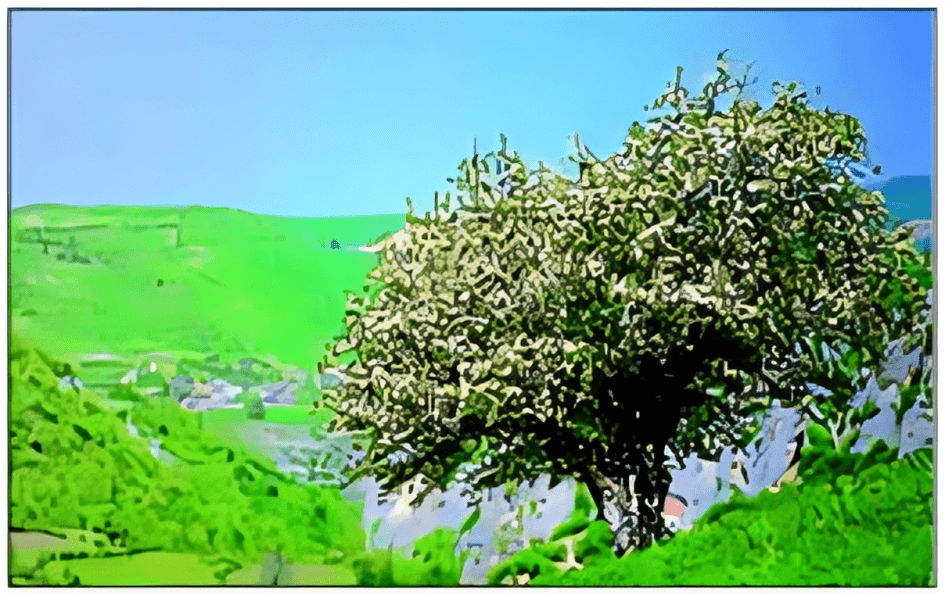 رامیان, نگین سرسبز گلستان