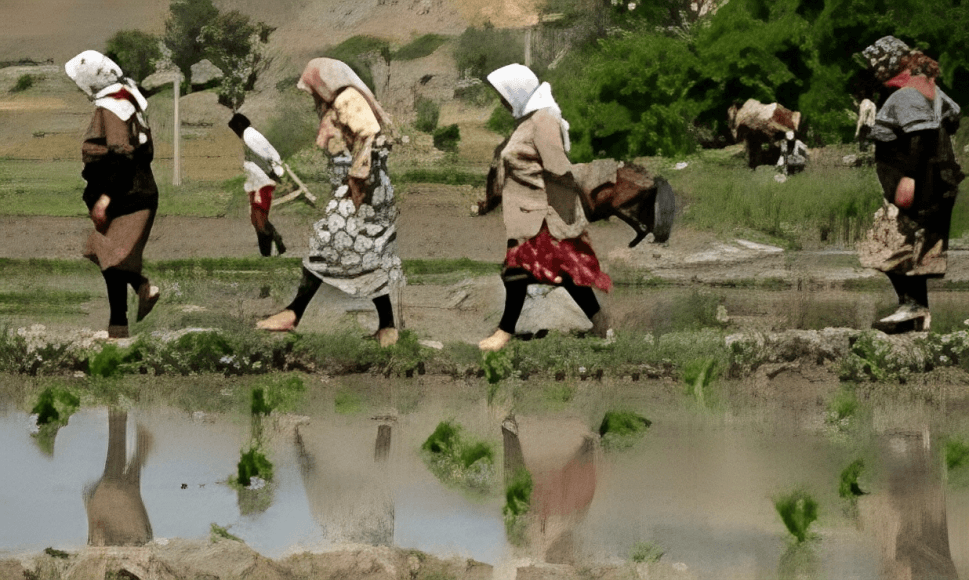 زنان روستایی در تحقیقات نادیده گرفته می شوند