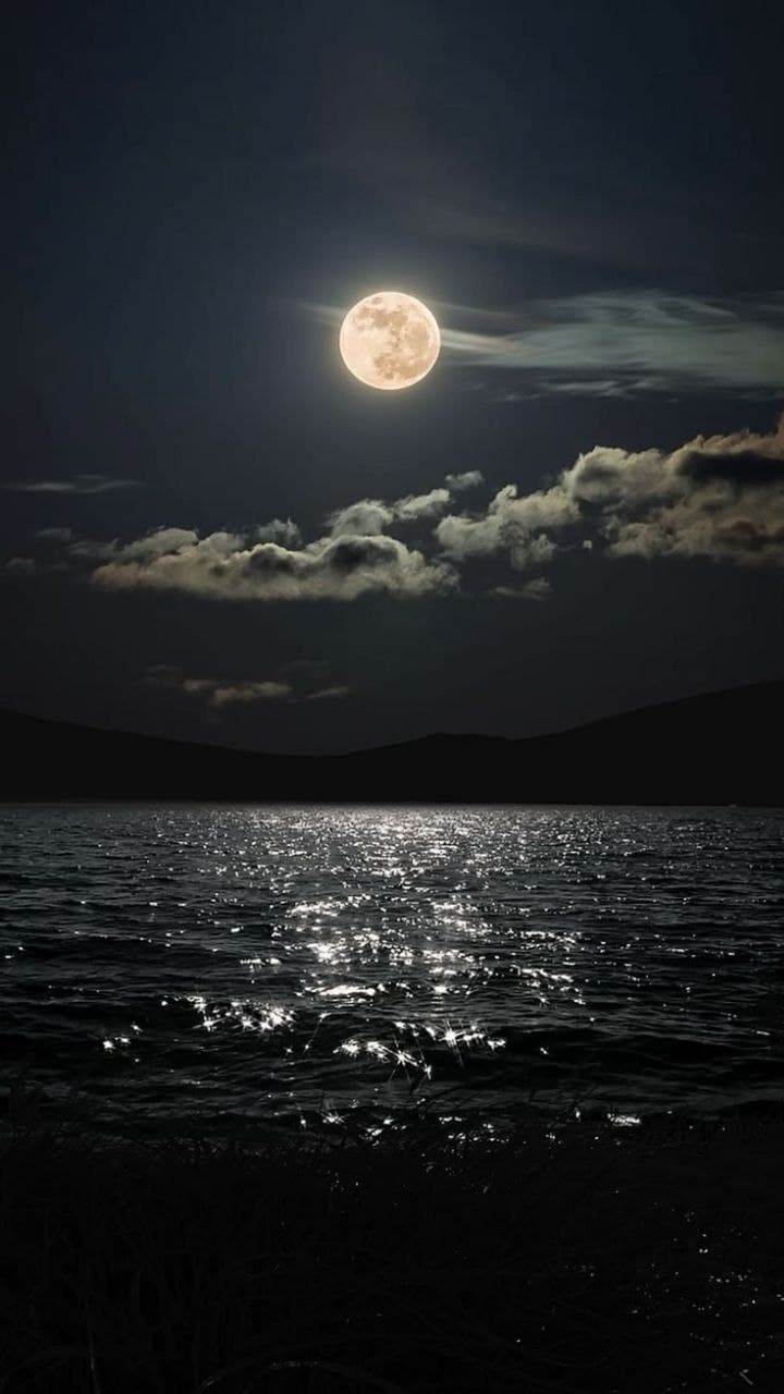 The For Carnation - Moonbeams
