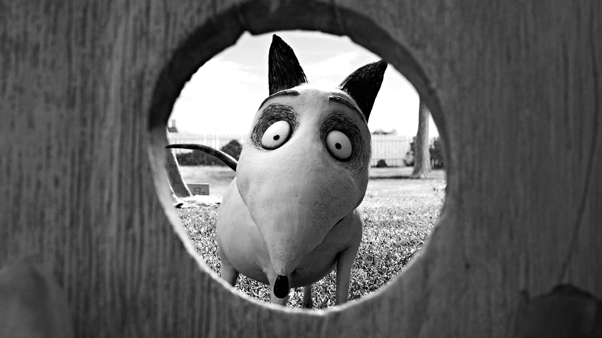معرفی انیمیشن Frankenweenie + لینک دانلود