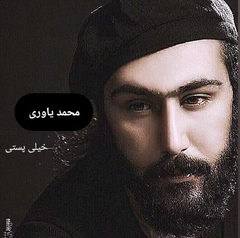 دانلود آهنگ قدیمی خیلی پستی(تا دیدمت دوباره دلمو ربودی) از محمد یاوری به همراه متن