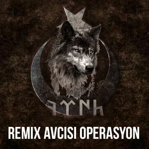 دانلود آهنگ بی کلام ترکی Remix Avcisi Operasyon
