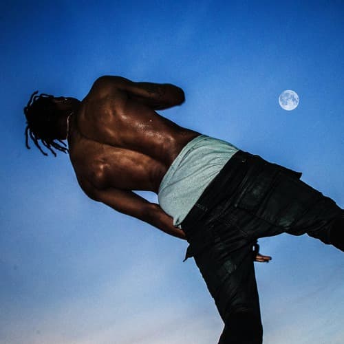 Travis Scott - Backyard 