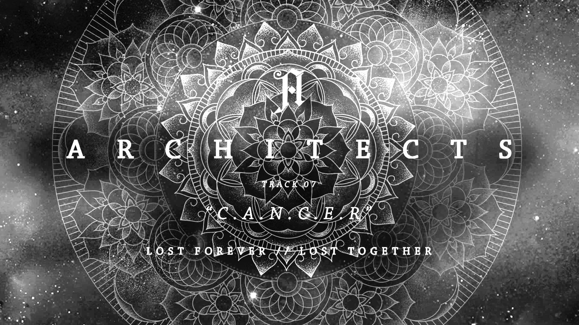 burn down my house by architects + lyrics 