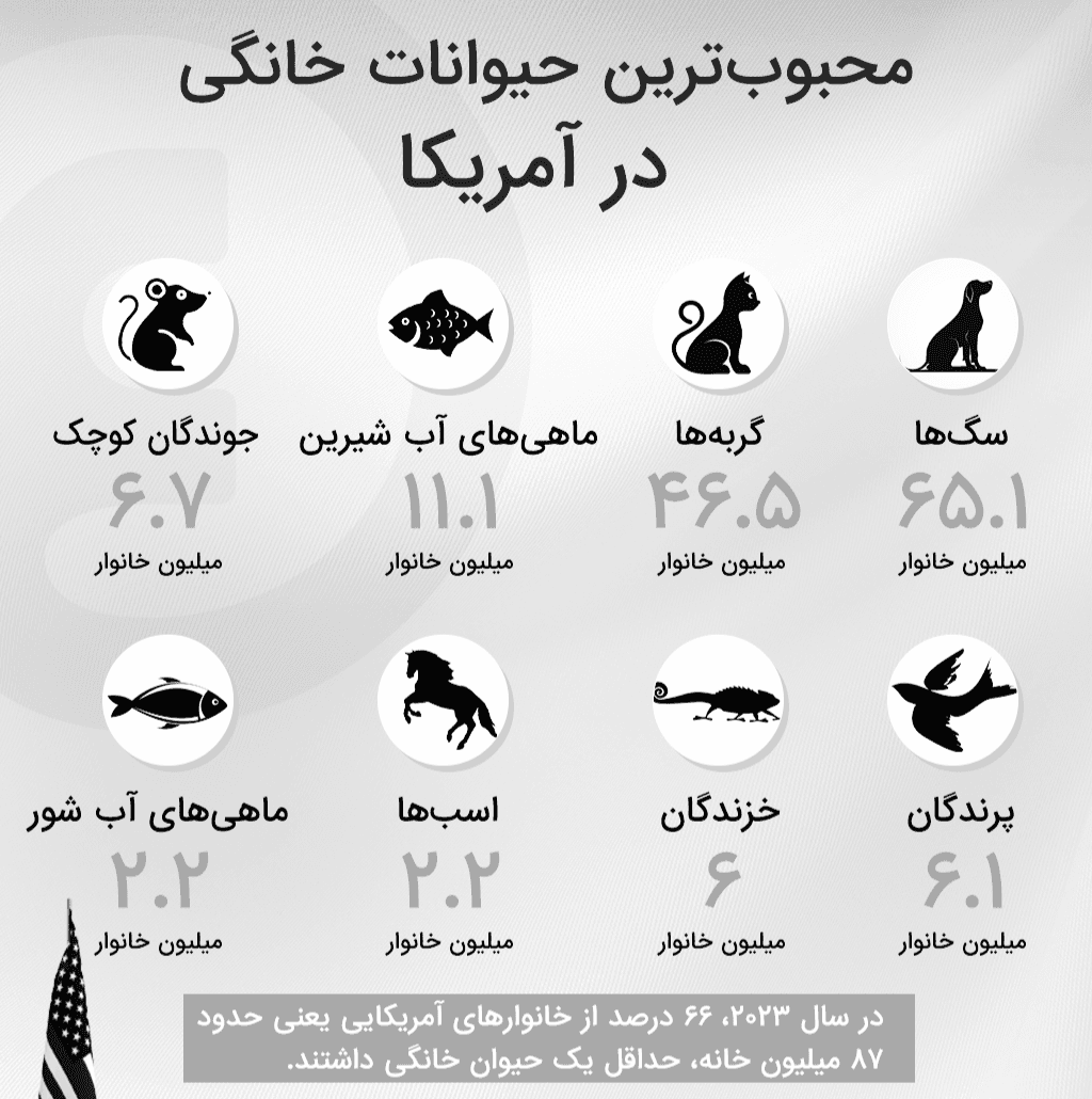 محبوب ترین حیوانات در کشور آمریکا 