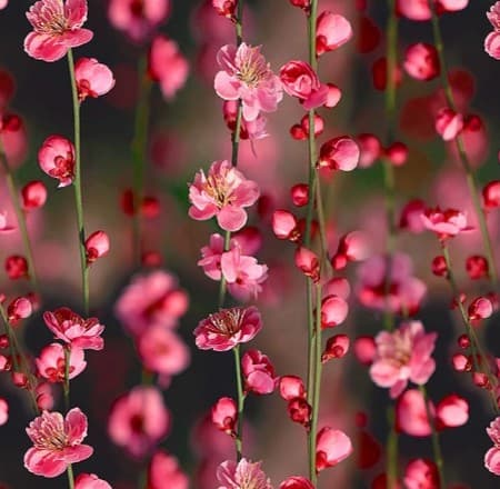 آهنگ زیبا و خاطره انگیز گل رویایی از امید 
