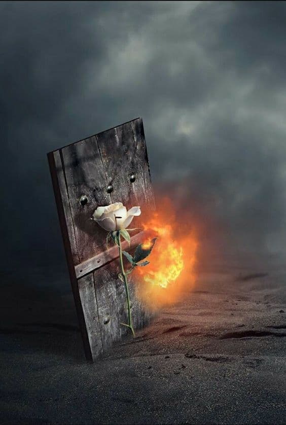 شهادت حضرت فاطمه زهرا (س) تسلیت باد???