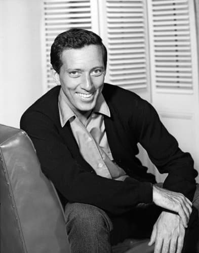 آهنگ It's the Most Wonderful Time of the Year از Andy Williams با متن و ترجمه