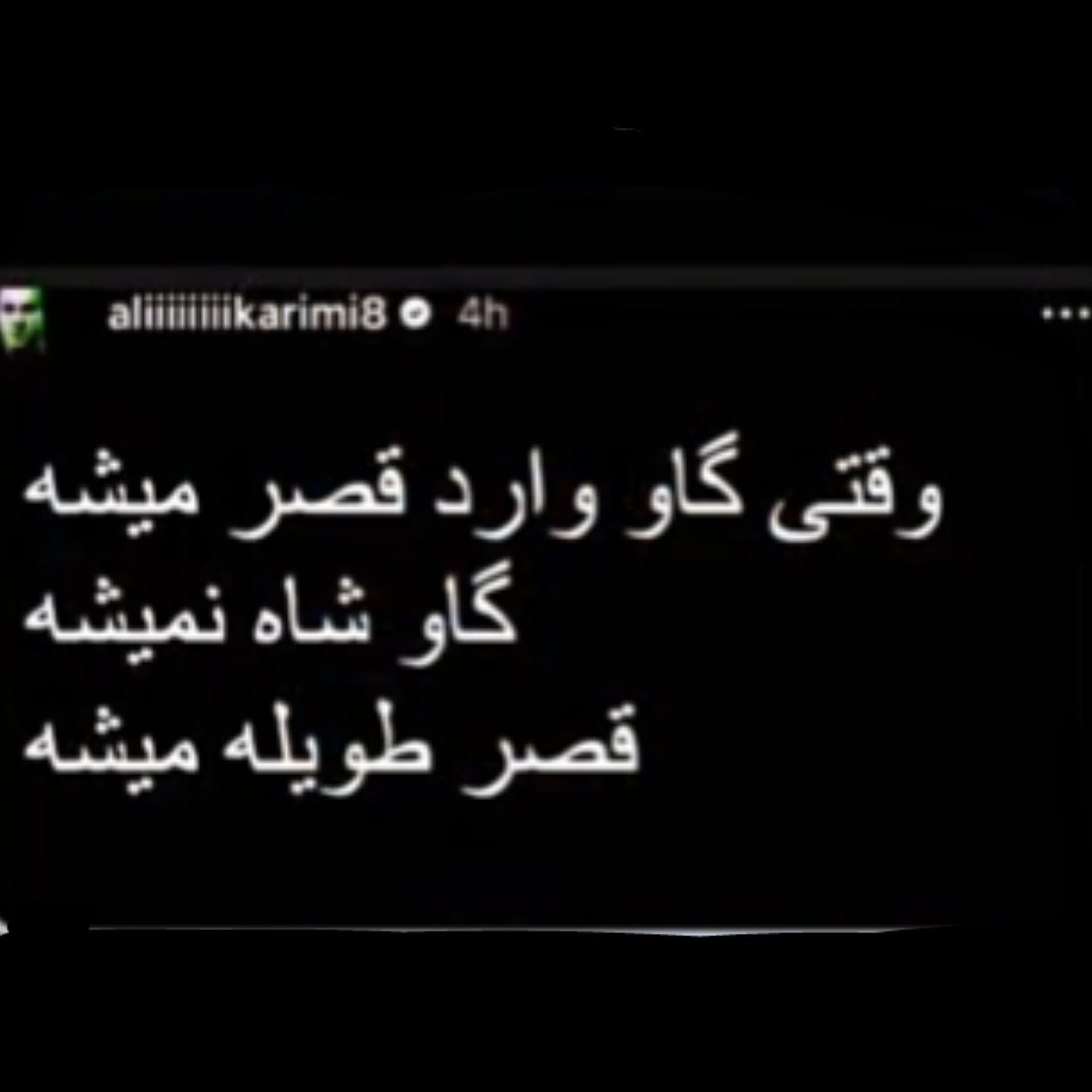 وقتی گاو وارد قصر میشه...
