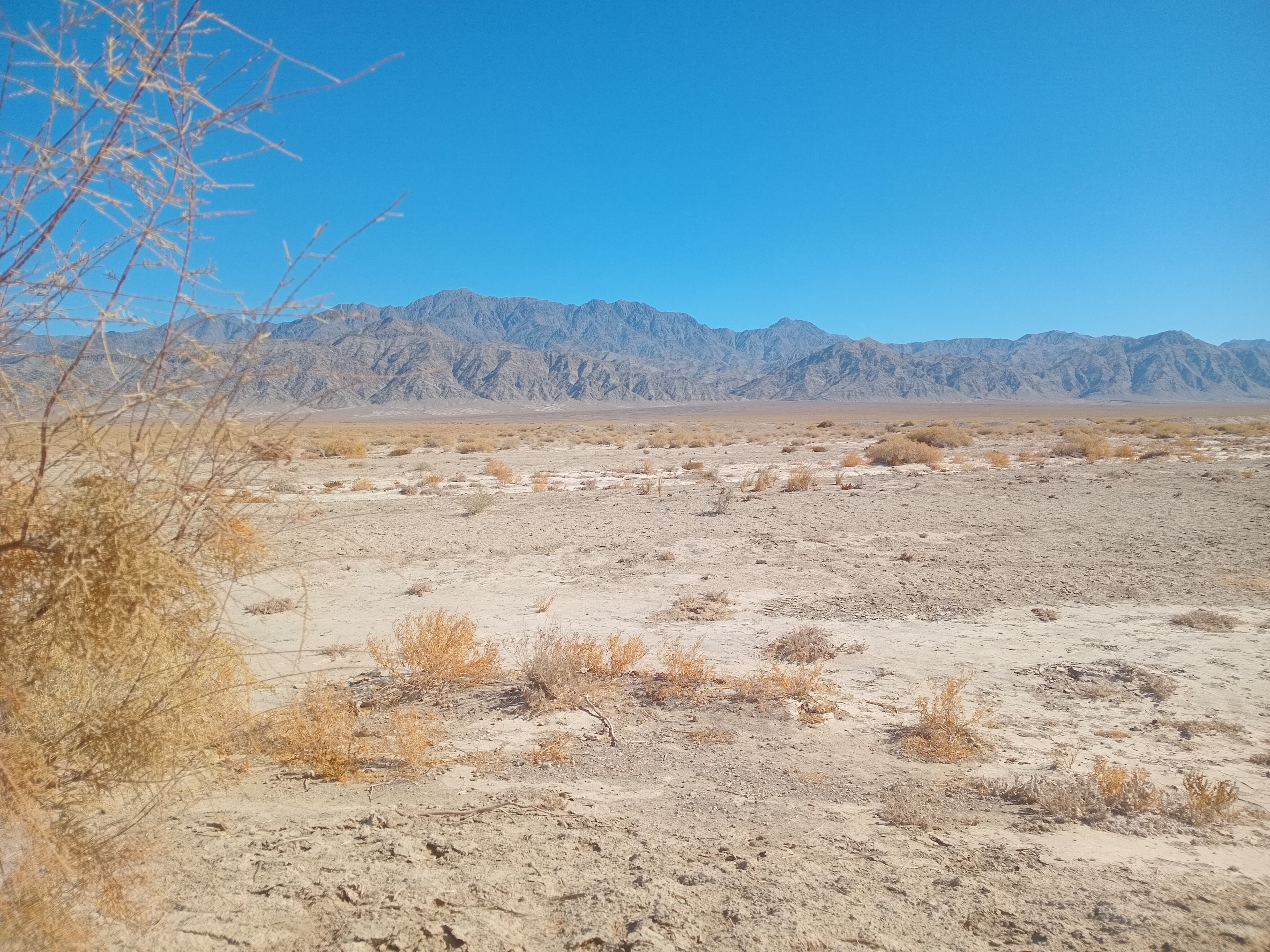 تصاویری فوق از بیابان های روستای گورچان 