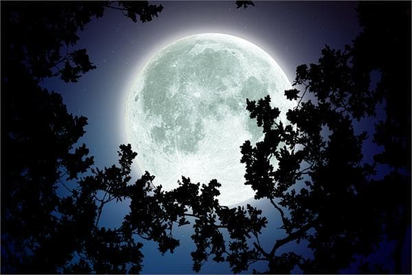  دانلود ریمیکس جدید «دل خوش» از عاقبت، امیر خلوت، صادق، یاس
