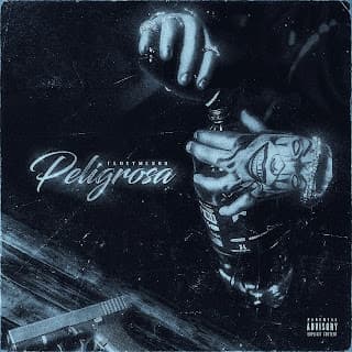 دانلود آهنگ جدید به نام (Floyymenor Peligrosa) با کیفیت ۳۲۰ 