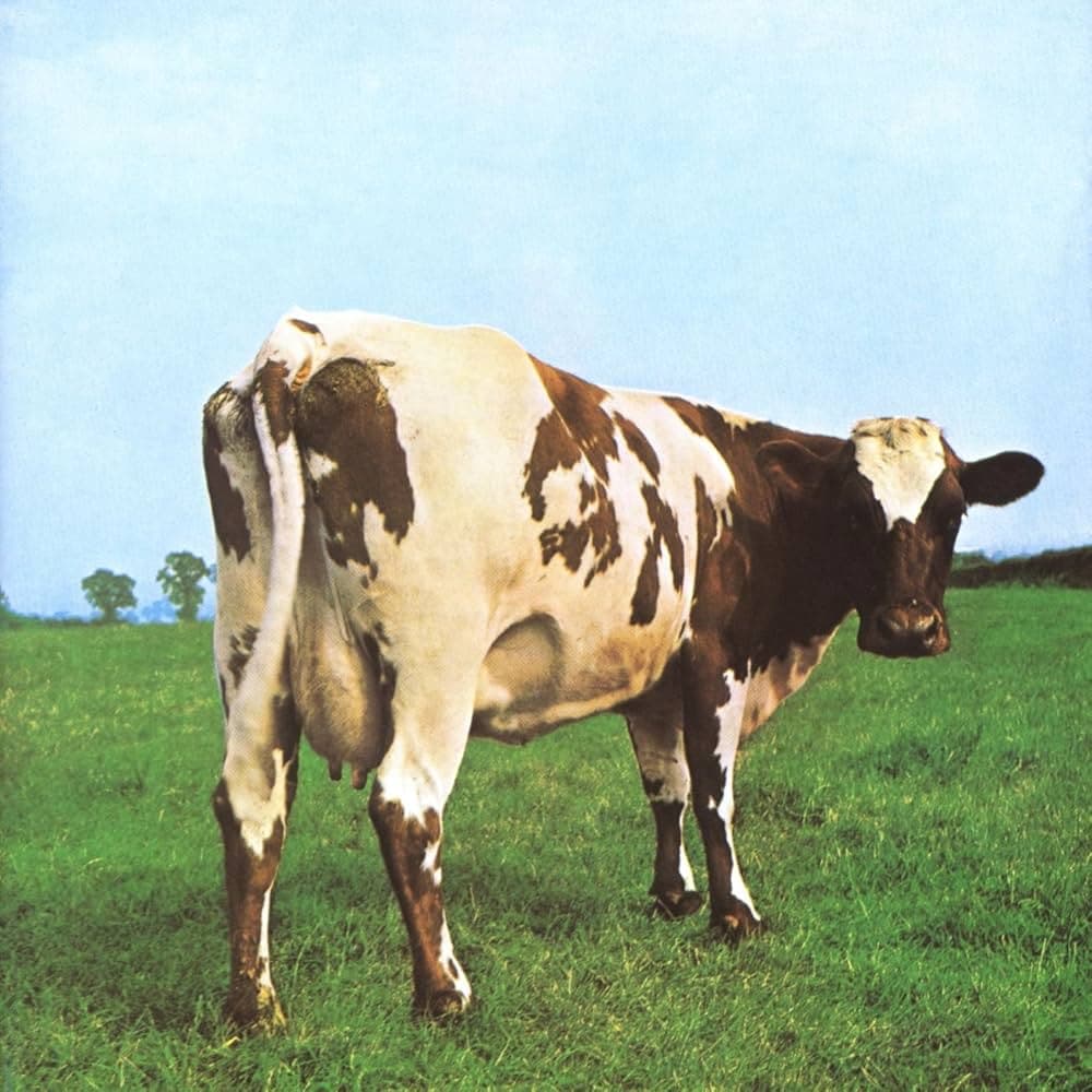 Fat Old Sun_Pink Floyd