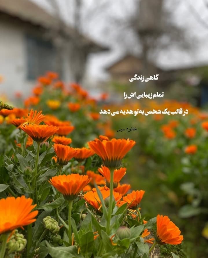 عکس نوشته
