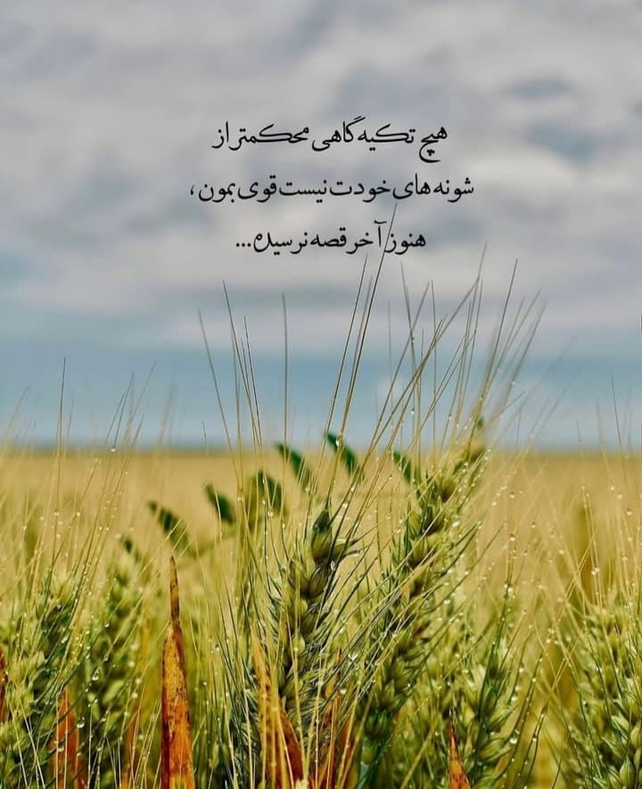 عکس نوشته