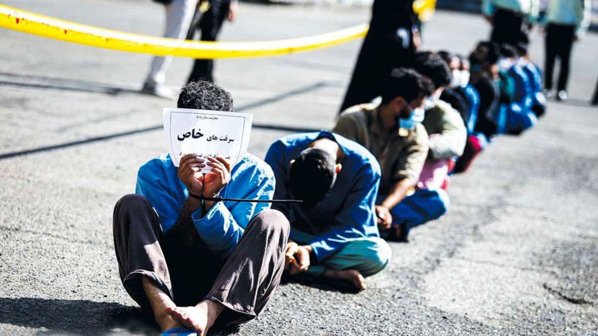 پاسخ چند سارق به پیشنهاد شغلی با درآمد 20 میلیون تومان در ماه توسط خبرنگار + ویدیو