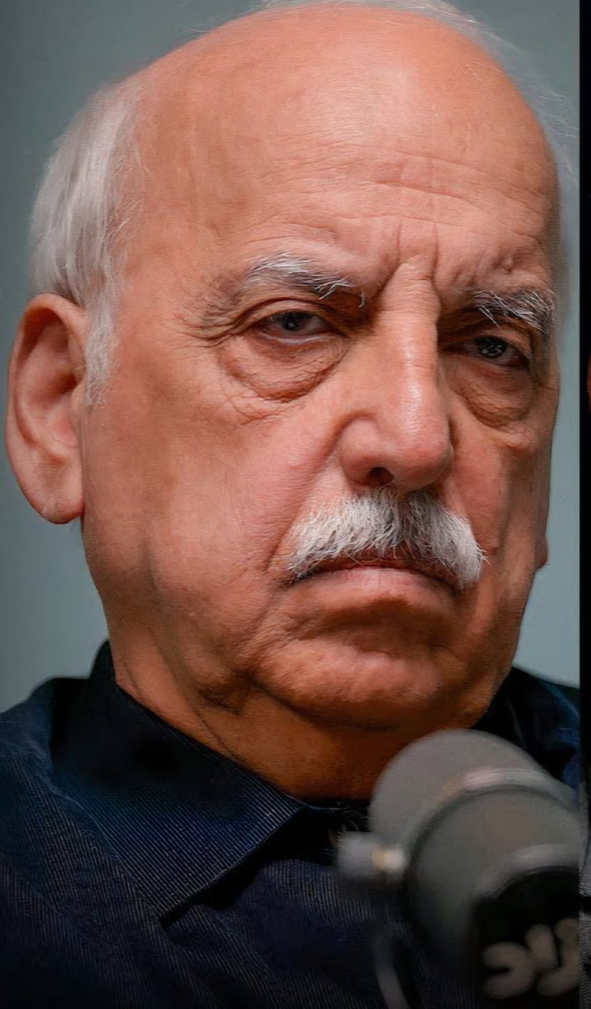 اقتصاد دستوری (کمی خاکستری)