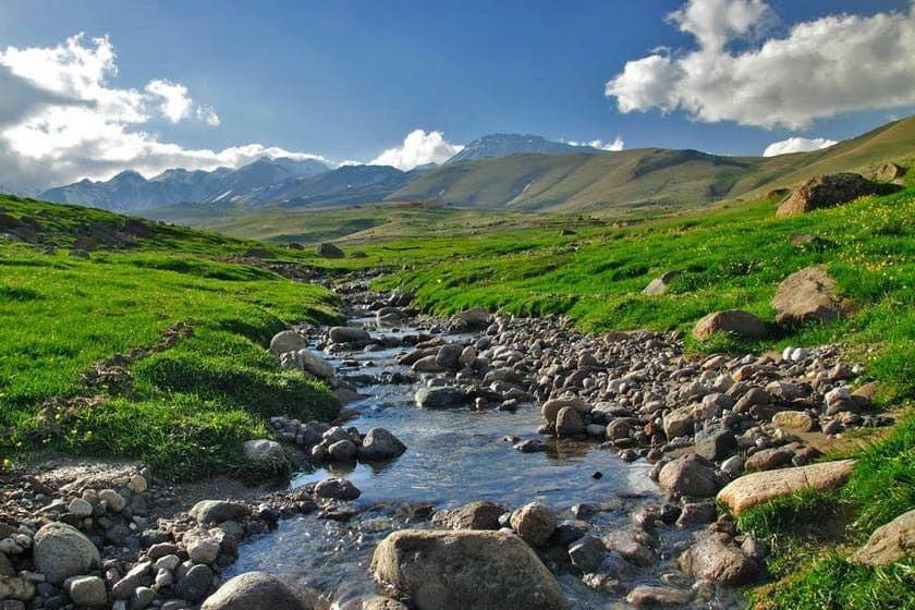 دانلود آهنگ کمتر زن شانه از ویگن و پوران