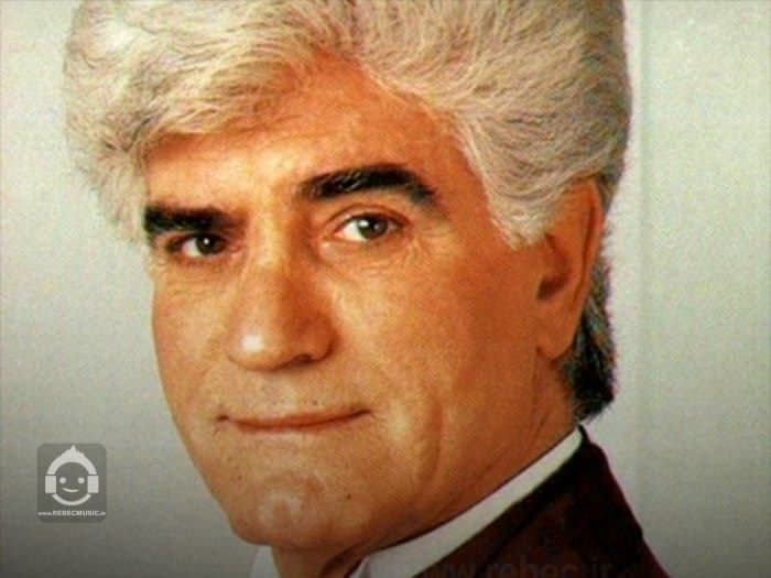 دانلود آهنگ صدای گریه از ویگن