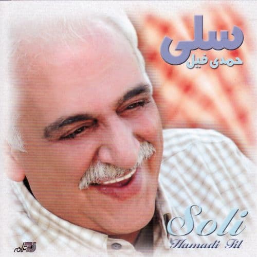 دانلود آهنگ حال که دیوانه شدم میروی از سلی (با کیفیت عالی و متن)