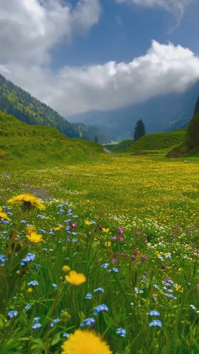 گوهر پنهان بهار در سوییس ?⛰