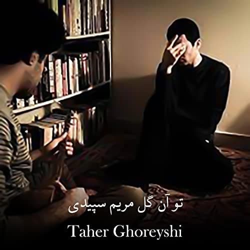طاهر قریشی - تو آن گل مریم سپیدی
