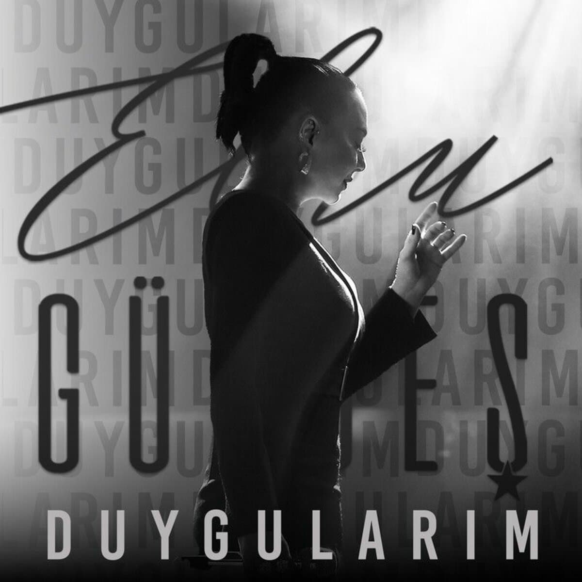 دانلود آهنگ ترکیه‌ای و جدید ابرو گوندش(Ebru Gündeş) به نام Duygularım همراه متن و ترجمه