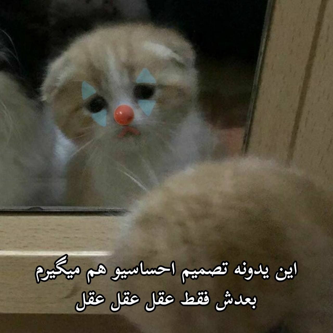 آهنگ جدید کاوه و پویان اردلان  ته خط tahe khat kaveh