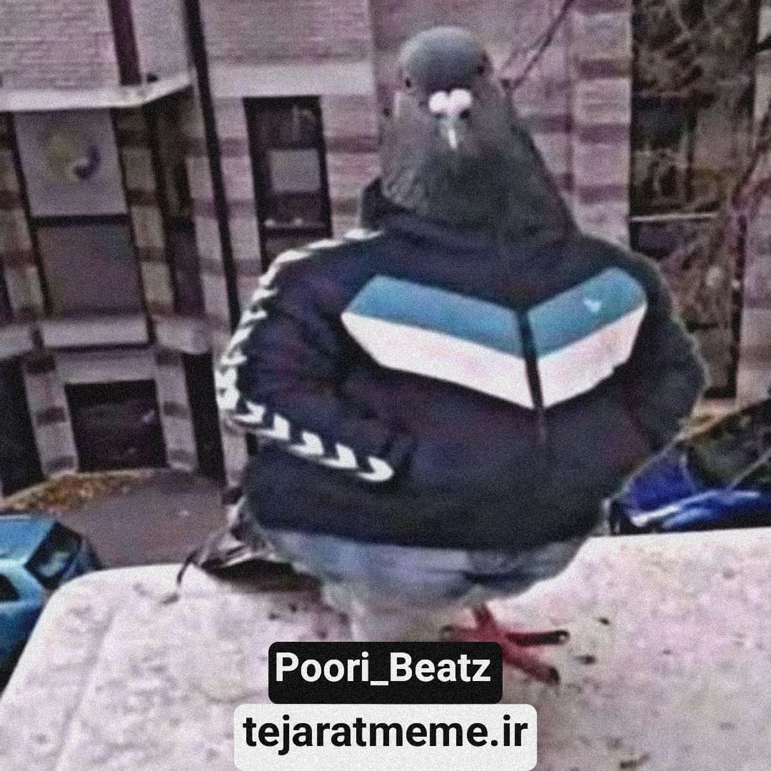 دانلود آهنگ گادپوری در پایتخت (Poori Beatz)