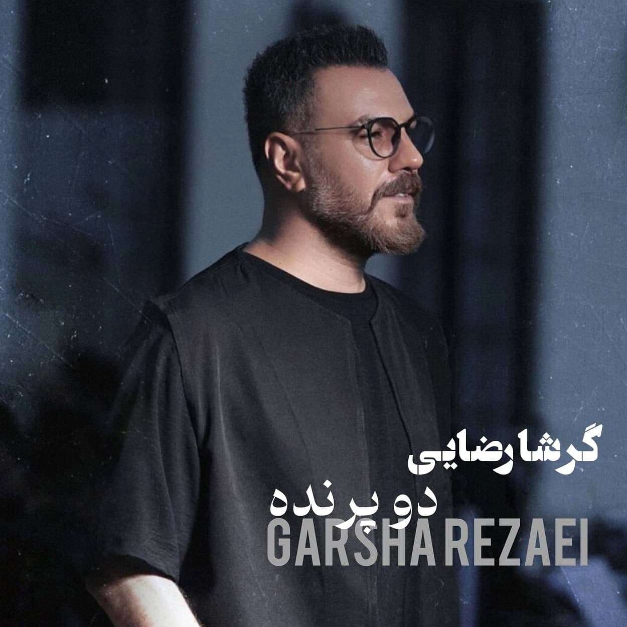 دانلود آهنگ دلی دو پرنده از گرشا رضایی