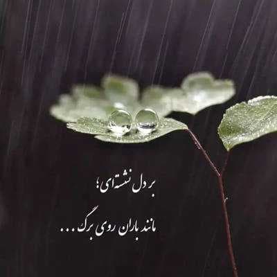 آهنگ غریبه از آفت (رفتی و یار دگر گرفتی برو که الهی دیگه برنگردی)
