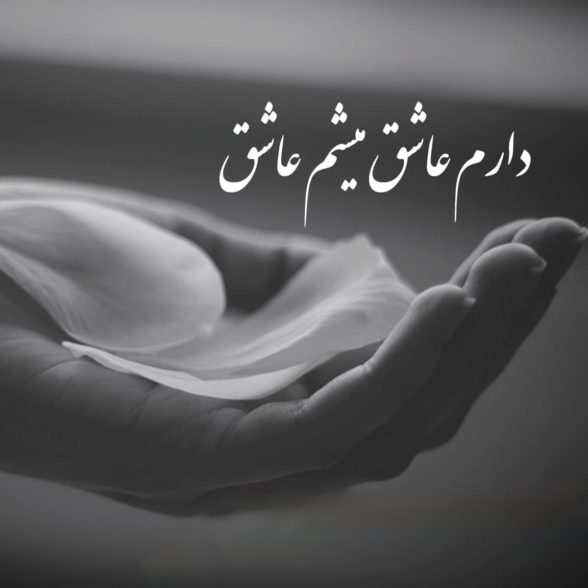 آهنگ از بتی، دارم عاشق میشم عاشق | بهترین کیفیت همراه متن 