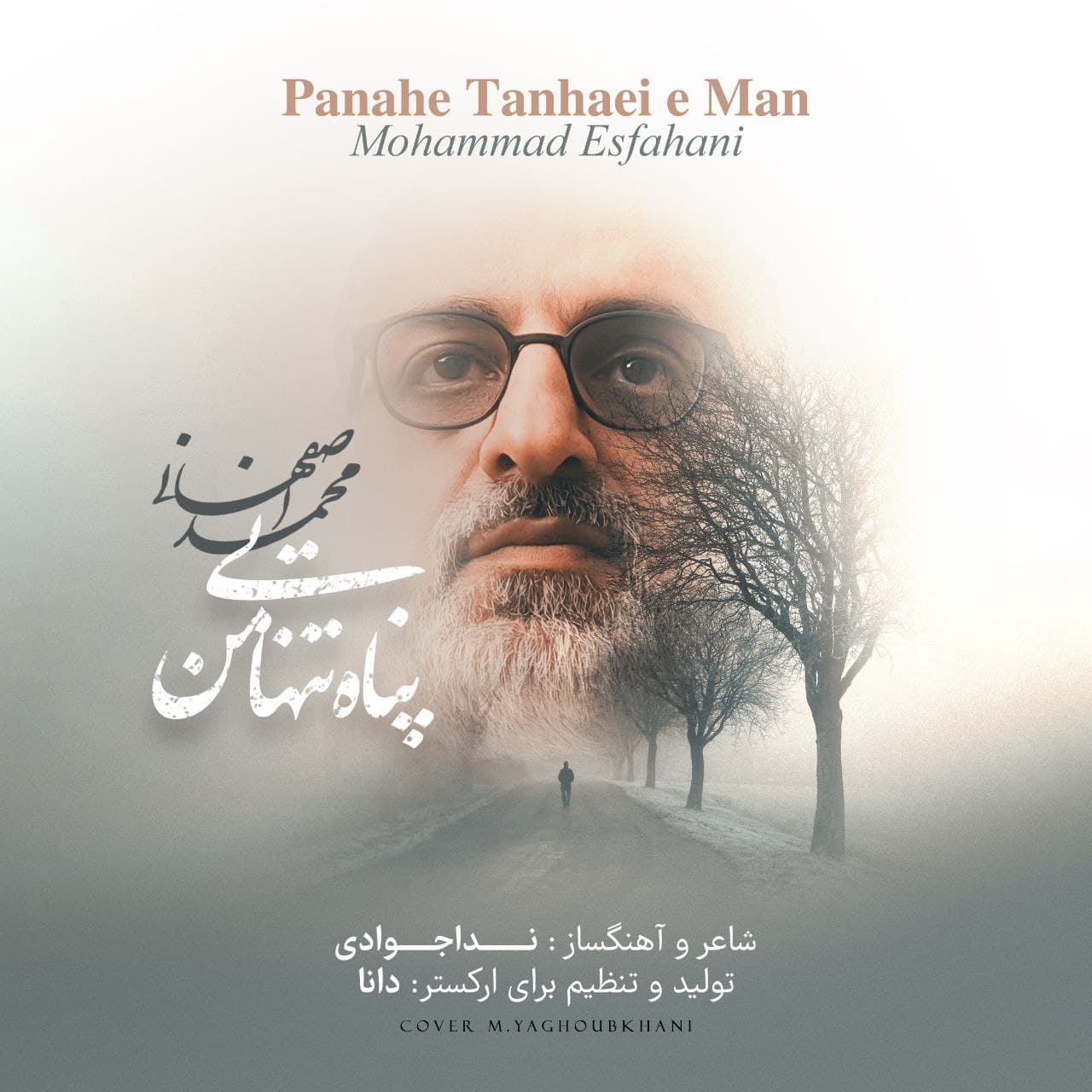 پناه تنهایی من محمد اصفهانی 