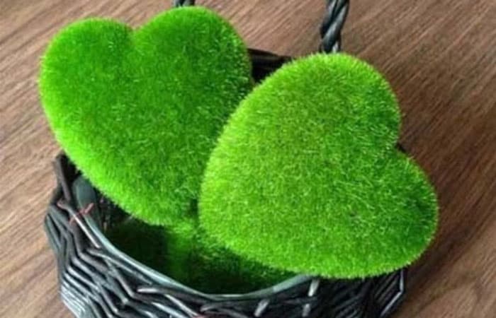 آهنگ سبزه رو از اکی بنایی (سبزه رویی مشکین مویی یار من و دلدار من)