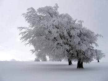 شاهکار مهدی اخوان ثالث (زمستان)