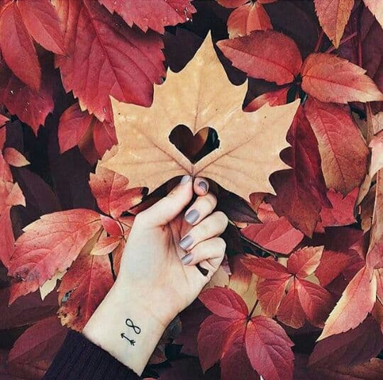 دل یار ? سارا نائینی