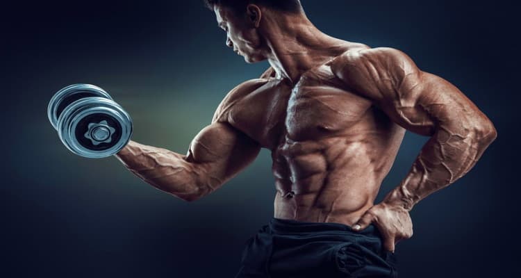 دانلود آهنگ باشگاه بدن سازی 2018