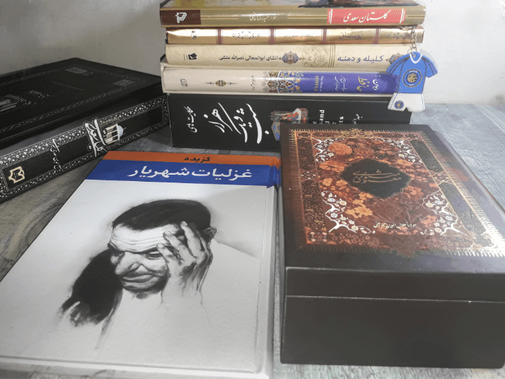 زیبارویی ترک ها در شعر و ادب پارسی