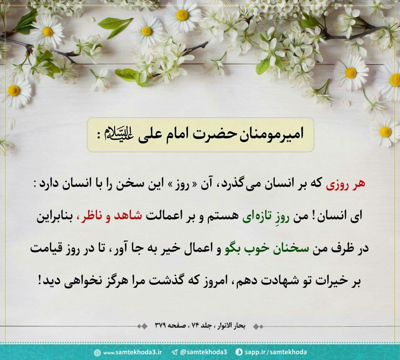 چند کلامی با دوستان