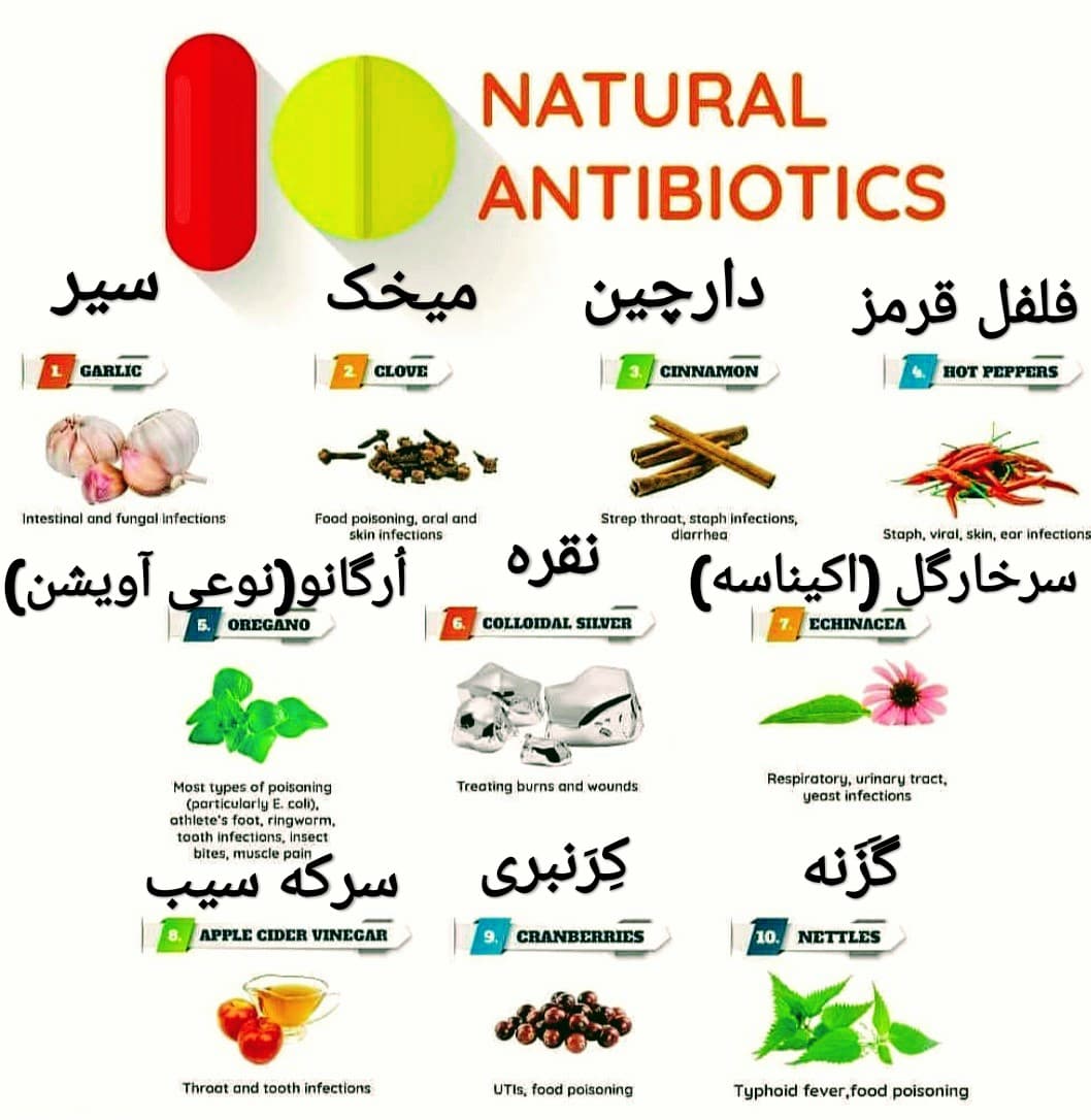   آنتی بیوتیک های طبیعی ⁦⚕️⁩?