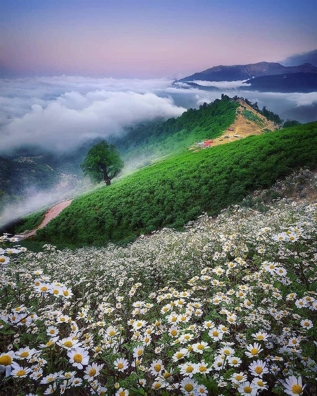 یه مقصد خوب برای تابستان
