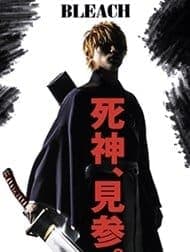 دانلود زیرنویس فارسی فیلم Bleach 2018 - بلیچ