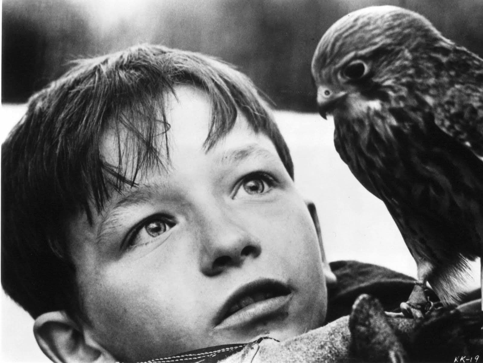 معرفی فیلم فوق العاده و کلاسیک Kes 1969